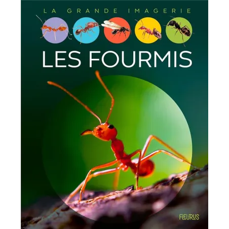 Les fourmis