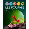 Les fourmis - Collectif - Fleurus - Grand format - ravate.com librairie reunion