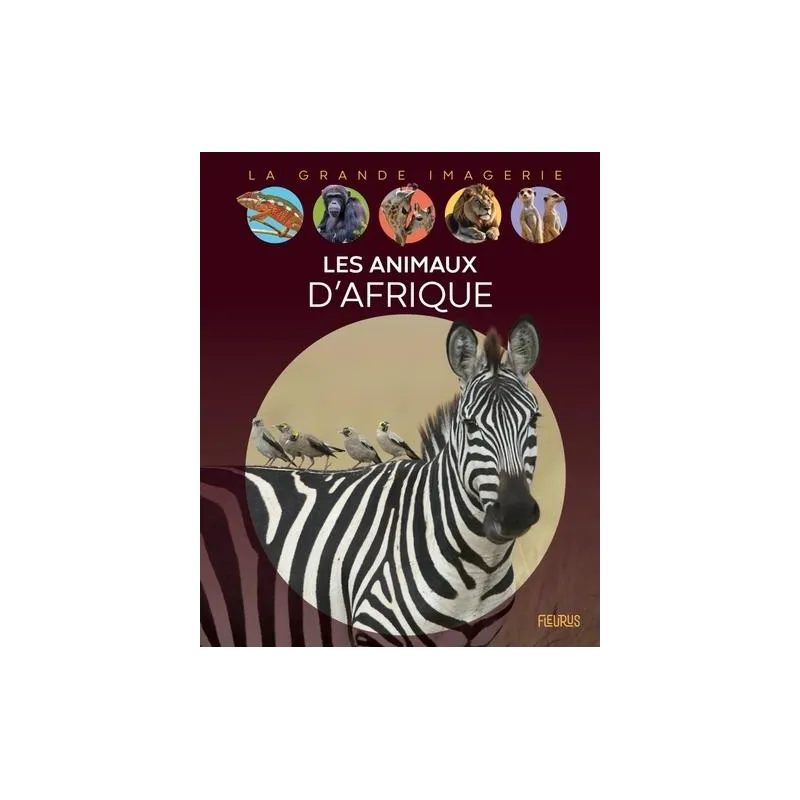 Les animaux d - ravate.com librairie reunion