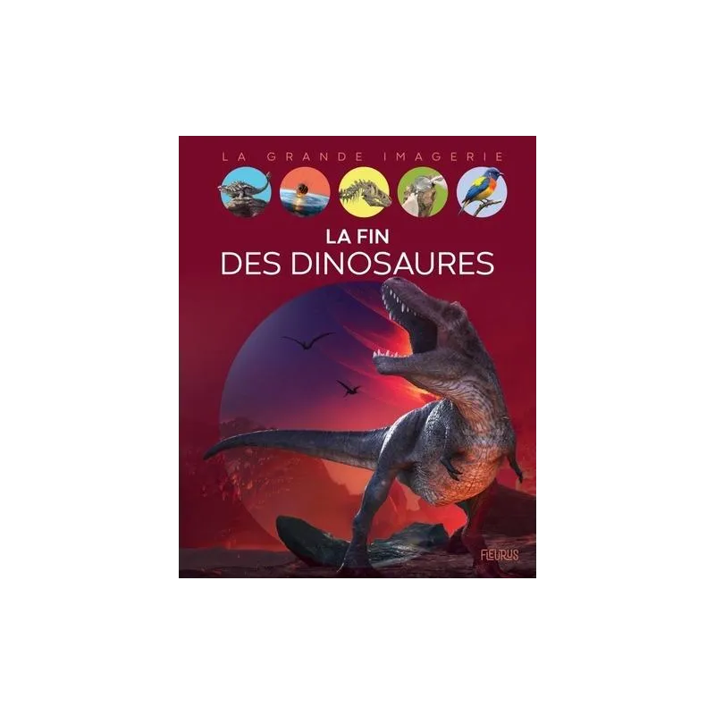 La fin des dinosaures - Claire Peyre de Fabrègues - Fleurus - Grand format - ravate.com librairie reunion