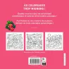 Hawaï cosy : Coloriages exotiques et mignons - Jade Summer - Dessain et Tolra - Papeterie / Coloriage - ravate.com librairie...