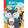 Mon gros livre de coloriage : raton laveur : 3/5 ans - Collectif - Hemma - Papeterie / Coloriage - ravate.com librairie reunion