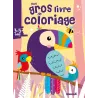 Mon gros livre de coloriage : perroquets : 3/5 ans - Collectif - Hemma - Papeterie / Coloriage - ravate.com librairie reunion