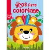 Mon gros livre de coloriage : lion : 3/5 ans - Collectif - Hemma - Papeterie / Coloriage - ravate.com librairie reunion
