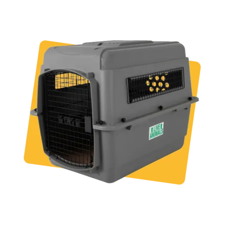 Cage de transport IATA Sky Kennel Transport Aerien T3 (13-23kg) - PETMATE