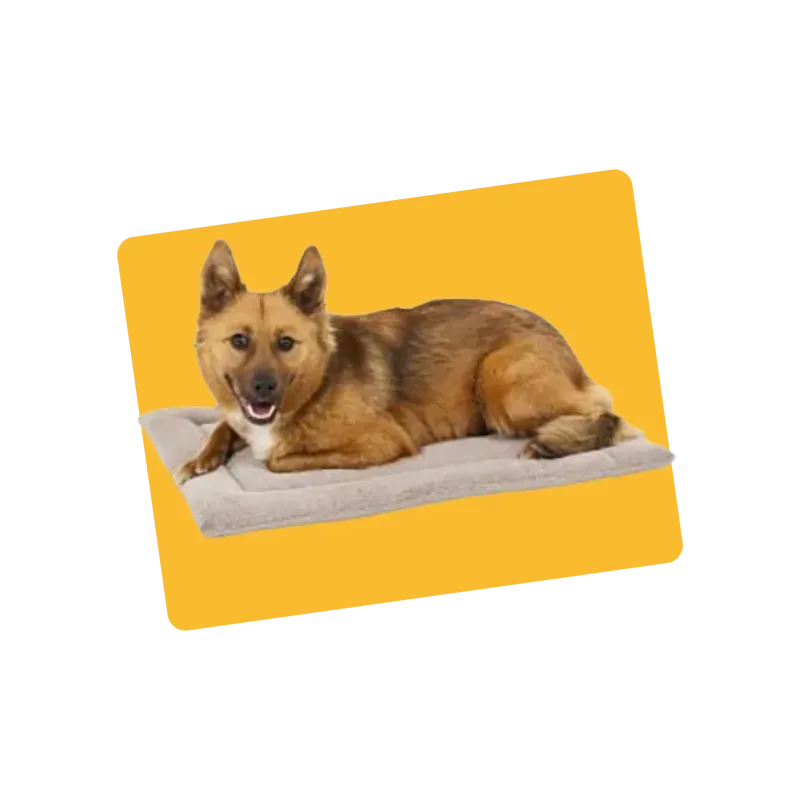 Couchage pour cage de transport Sky Kennel pour chien et chat taille 3 - PETMATE - PCK3M969