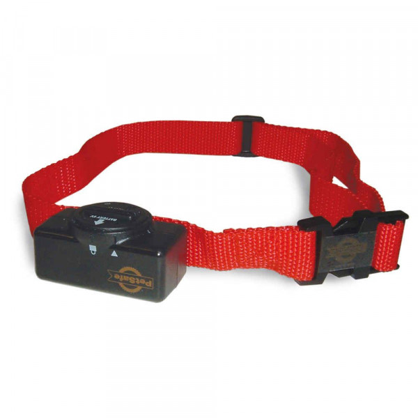 Piles CR2450N pour collier anti-aboiement Grand/Moyen Chien - PETSAFE - NP2L268