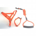 Ensemble laisse, harnais et collier pour chien 80cm - INA-36029