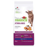 Croquettes Chat Adulte Stérilisé Saumon 10kg - NATURAL TRAINER
