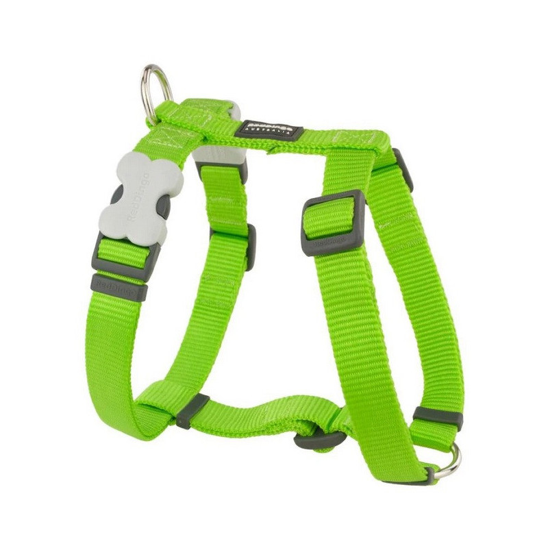 Harnais Large Uni Vert Chien RED DINGO