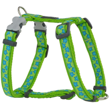 Harnais Chien Etoiles Turquoise Avec Vert M 20 mm RED DINGO
