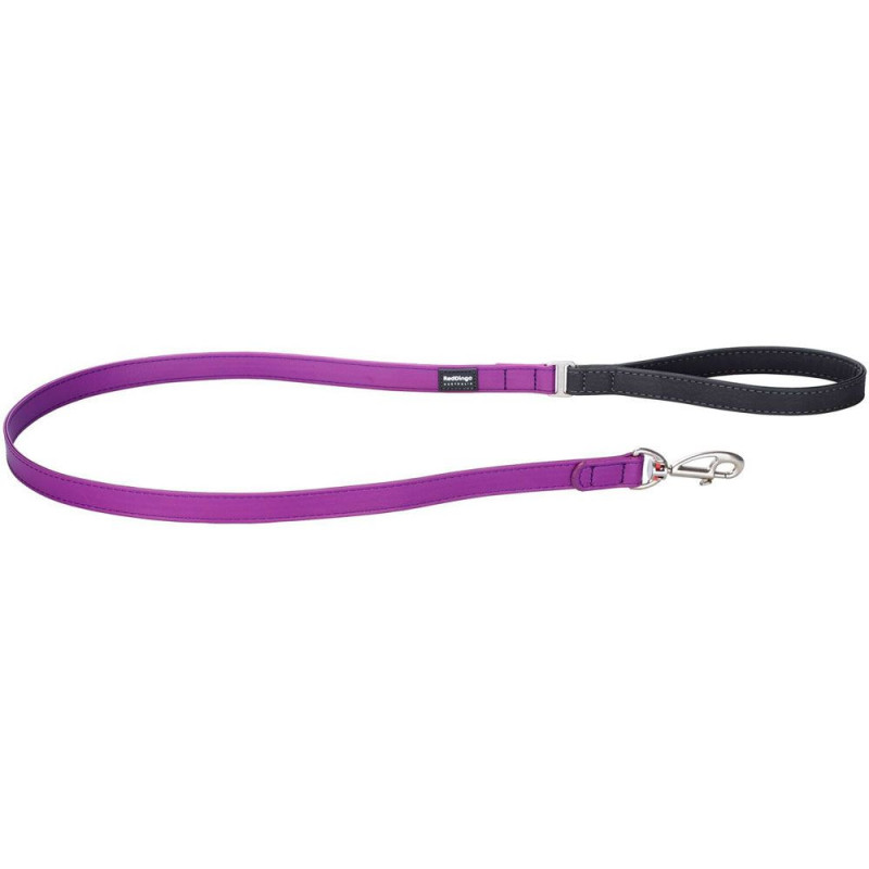 Elegant Purple Laisse CHIEN RED DINGO