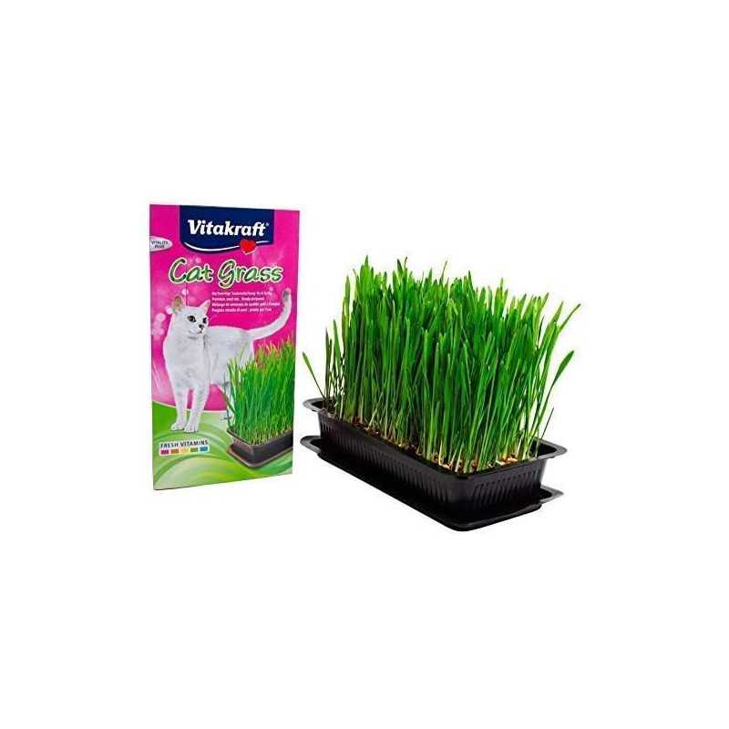 Herbe à chat - VITAKRAFT