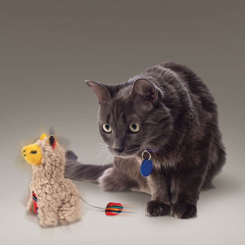Cat Softies Buzzy Lama KONG