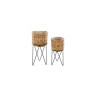 Pot Hyacinthe Tresse/Meta Smal