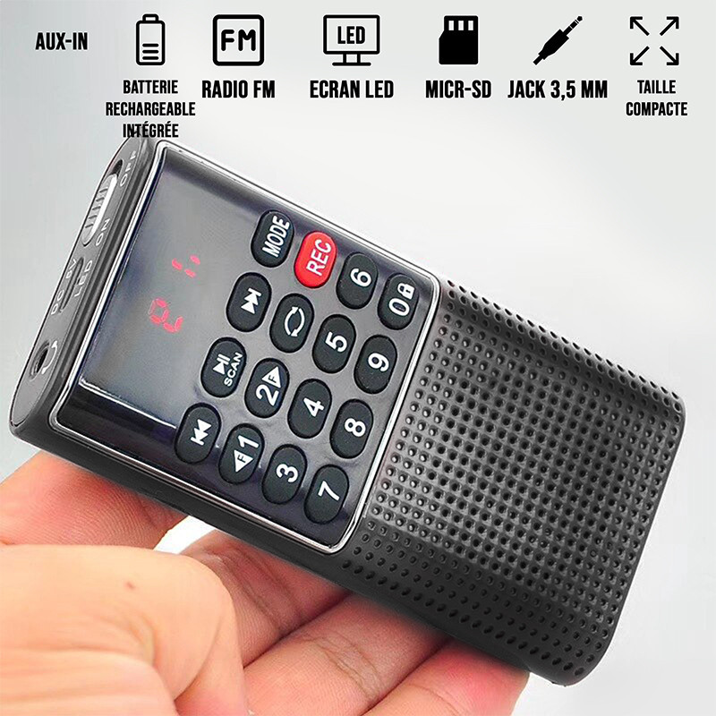 Radio de porche Rechargeable FM lecteur de carte micro SD RMS 3W Noir WE - RADIOWERADMININ