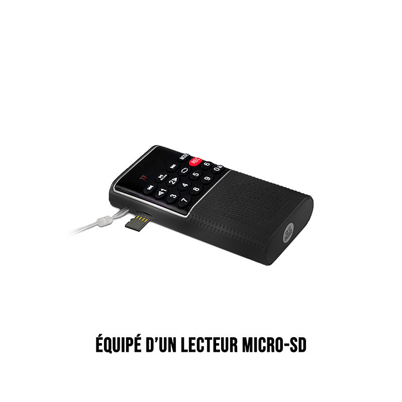 Radio de porche Rechargeable FM lecteur de carte micro SD RMS 3W Noir WE - RADIOWERADMININ