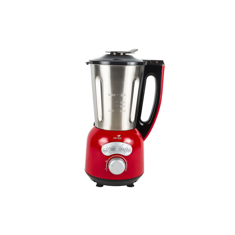 Blender Smoothie 600W, 1.25 L Blender Mixeur, Vitesses Réglables Et