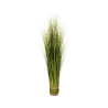 FAGOT HERBE D12 X H100 CM