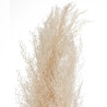 PAMPA NATUREL X3 H110