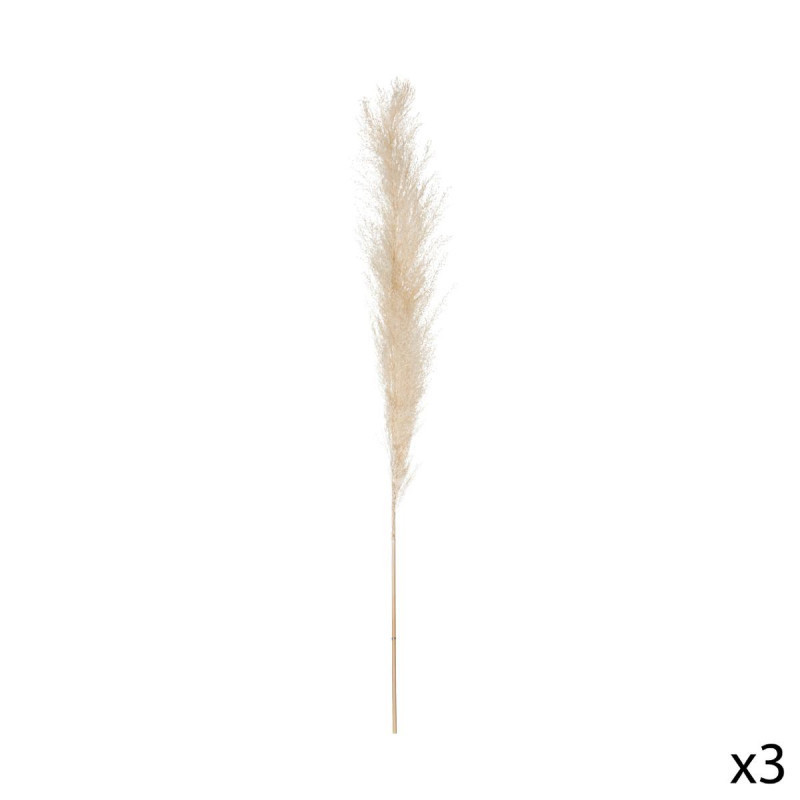 PAMPA NATUREL X3 H110