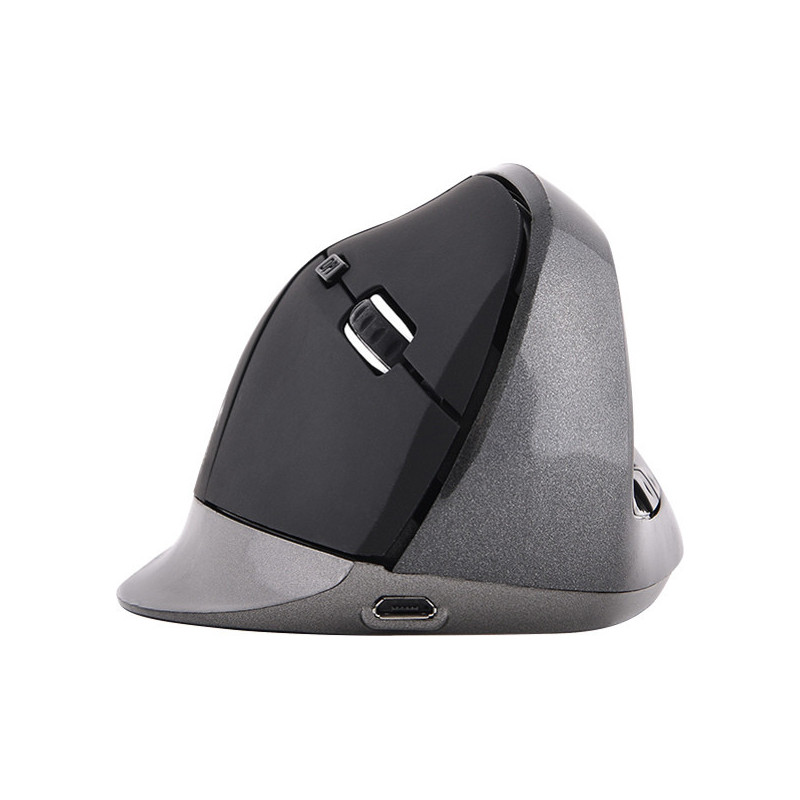 Souris sans fil Ergonomique Droitier 2.4 Ghz Noir BLUESTORK - BS_M_WL_ERGO_BK