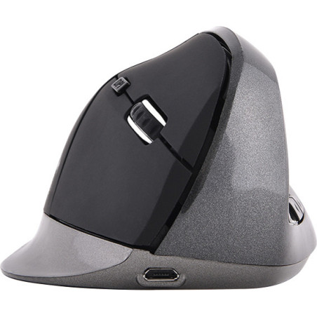 Souris sans fil Ergonomique Droitier 2.4 Ghz Noir BLUESTORK - BS_M_WL_ERGO_BK