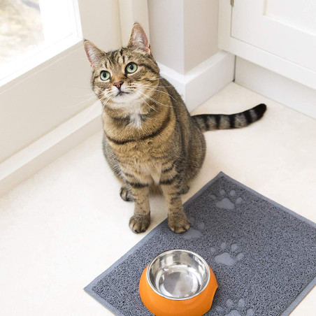 Croquettes Chat Stérilisé Poulet 1,5 kg - IAMS