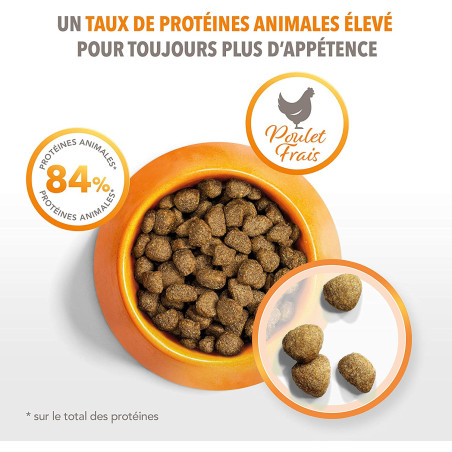 Croquettes Chat Stérilisé Poulet 1,5 kg - IAMS