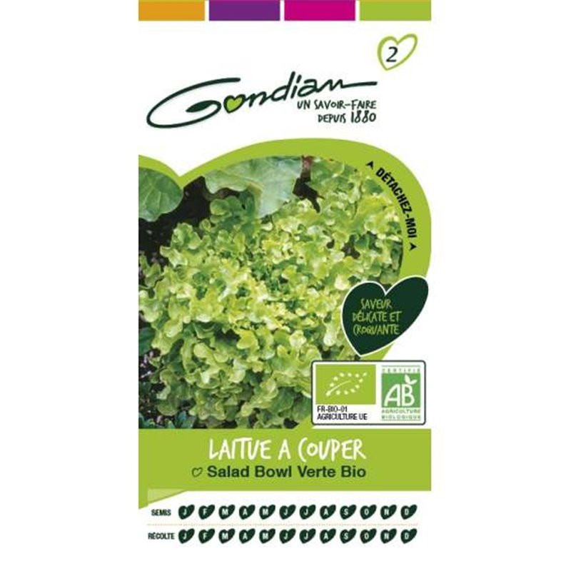 Laitue à couper verte bio - GONDIAN - GON-515535