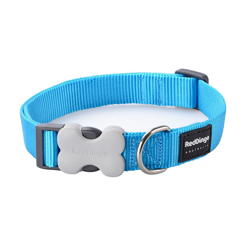 Collier Classic XS Uni Turquoise RED DINGO