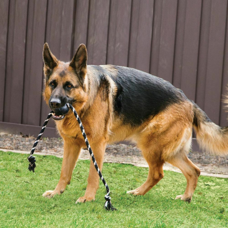 Extreme Ball Jouet à Mâcher pour Chien avec Corde KONG