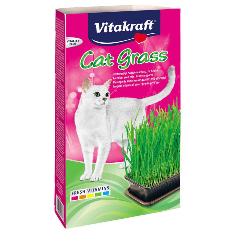 Herbe à chat - VITAKRAFT