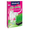 Herbe à chat - VITAKRAFT