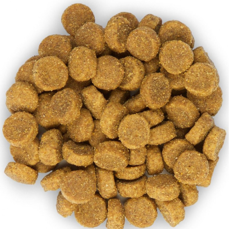 Croquette Chat Adulte Poulet 15 kg HILL'S  SCIENCE PLAN