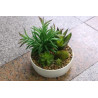 PLANTE ARTIFICIELLE POT D 16 CM