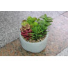 PLANTE ARTIFICIELLE POT D14 CM