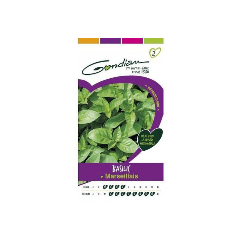 Basilic Marseillais Bio - GONDIAN - GON-515529