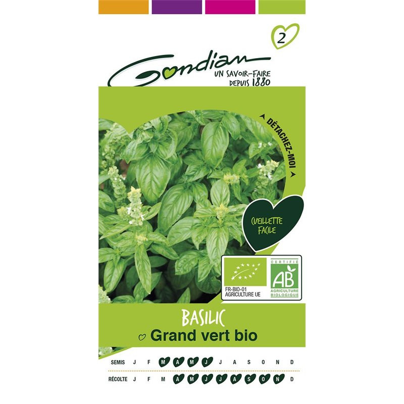Basilic Grand Vert Bio - GONDIAN - GON-510861