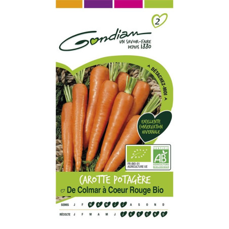 Graines Ciboulette Commune Bio - GONDIAN - GON-511988