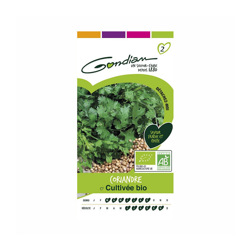 Graines Coriandre Cultivée Bio - GONDIAN - GON-510863
