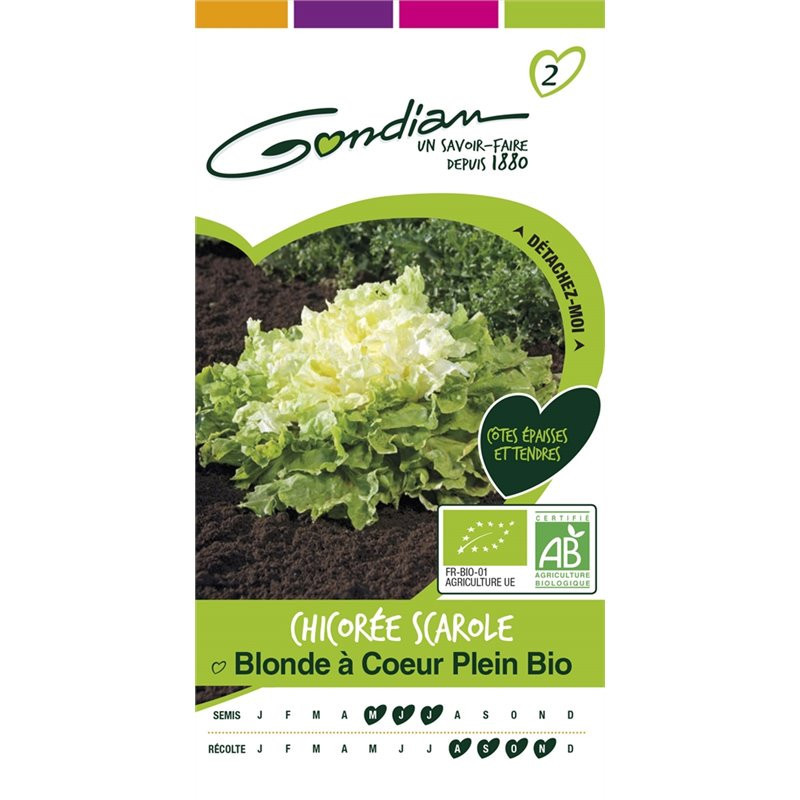 CHICOREE SCAROLE BLONDE BIO