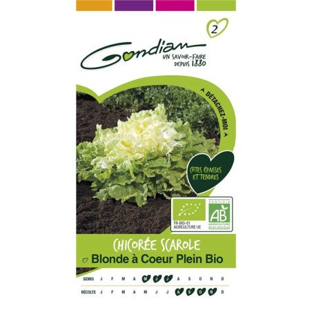 CHICOREE SCAROLE BLONDE BIO