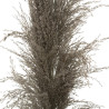 PAMPA NATUREL BRUNE X3 H110