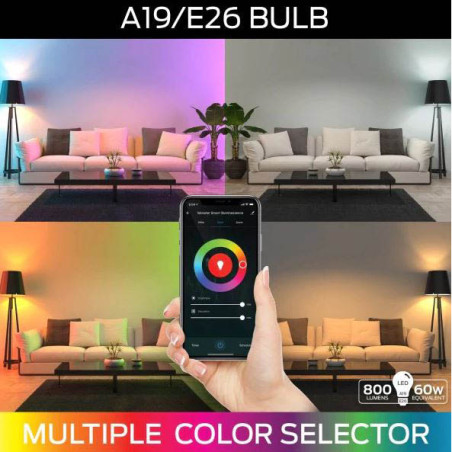 Kit ampoule de lumière LED Illuminescence A19 E27 + bande de lumière 2m - MONSTER