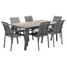 Table de jardin extensible - Pavane - HESPERIDE - Gris anthracite - 10 personnes