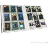 Pack de 26 Cartes Harry Potter Evolution Trading Cards - PANINI - 78330018809