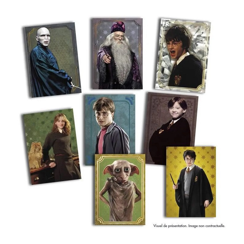Pack de 26 Cartes Harry Potter Evolution Trading Cards - PANINI - 78330018809