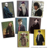Pack de 26 Cartes Harry Potter Evolution Trading Cards - PANINI - 78330018809