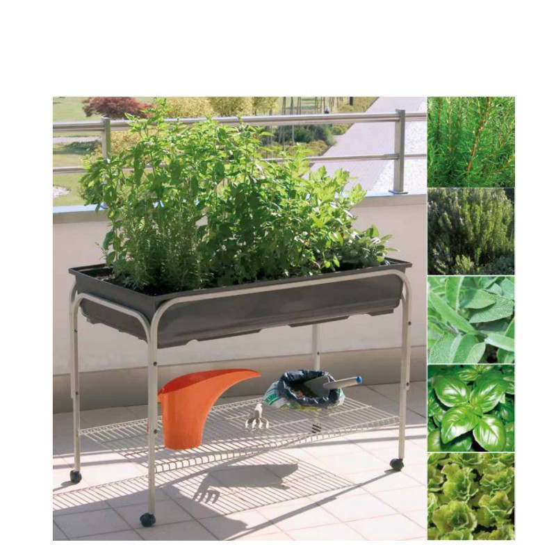 Kit potager avec support à roulettes 